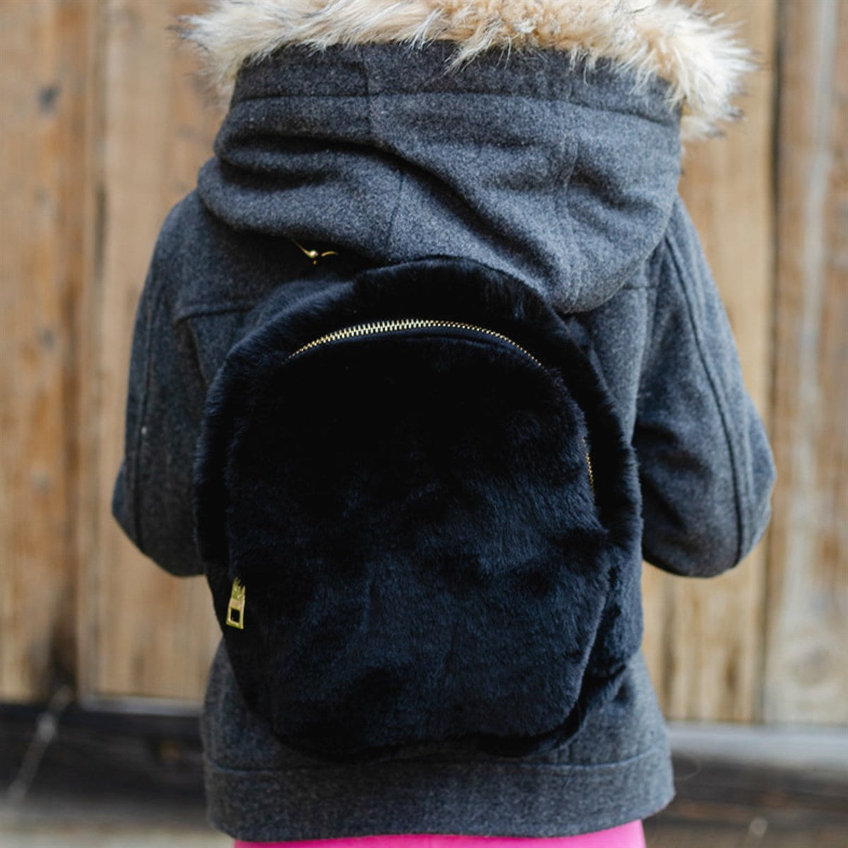 CC Backpack ( BG-809 )