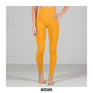 Tummy Control Fleece Lined Leggings | Curvy Added